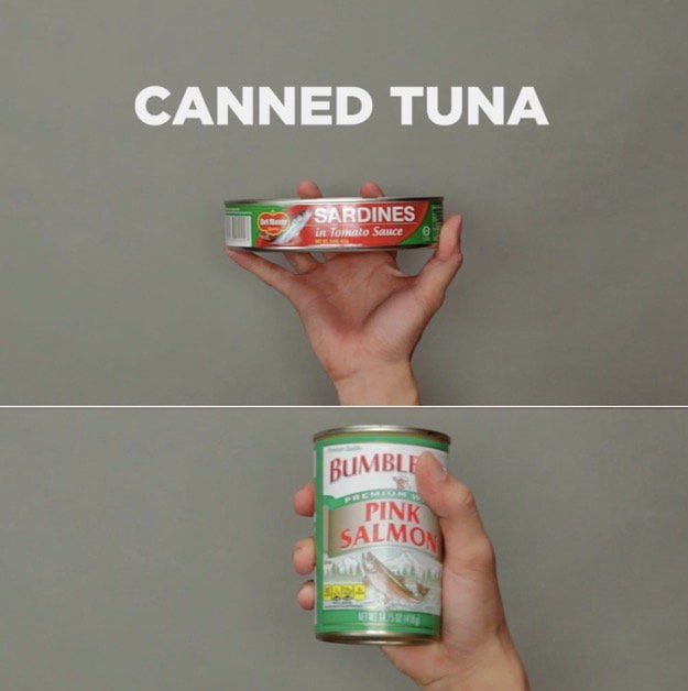 How To Store Canned Food Once Opened How To Store Canned Food Once Opened