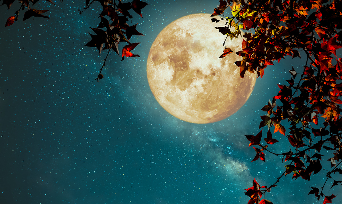 Full Moon Astrology: November 2017 Full Moon Will Usher in Feelings Of