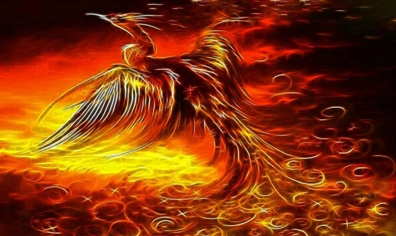 Understanding The Powerful Magic Of The Phoenix Spirit Guide ...