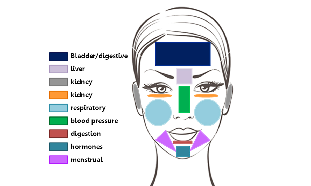 Reveal the Current Status of Your Health Through Face Mapping