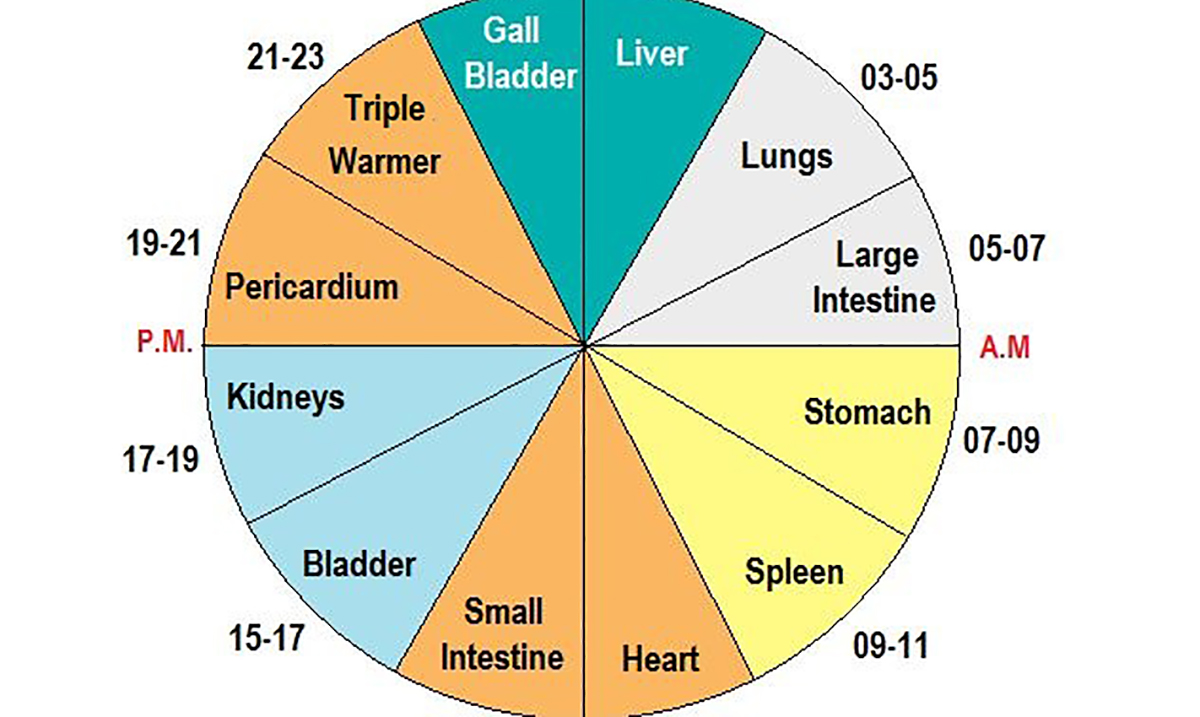 the-chinese-body-clock-explains-why-we-are-waking-up-at-the-same-time