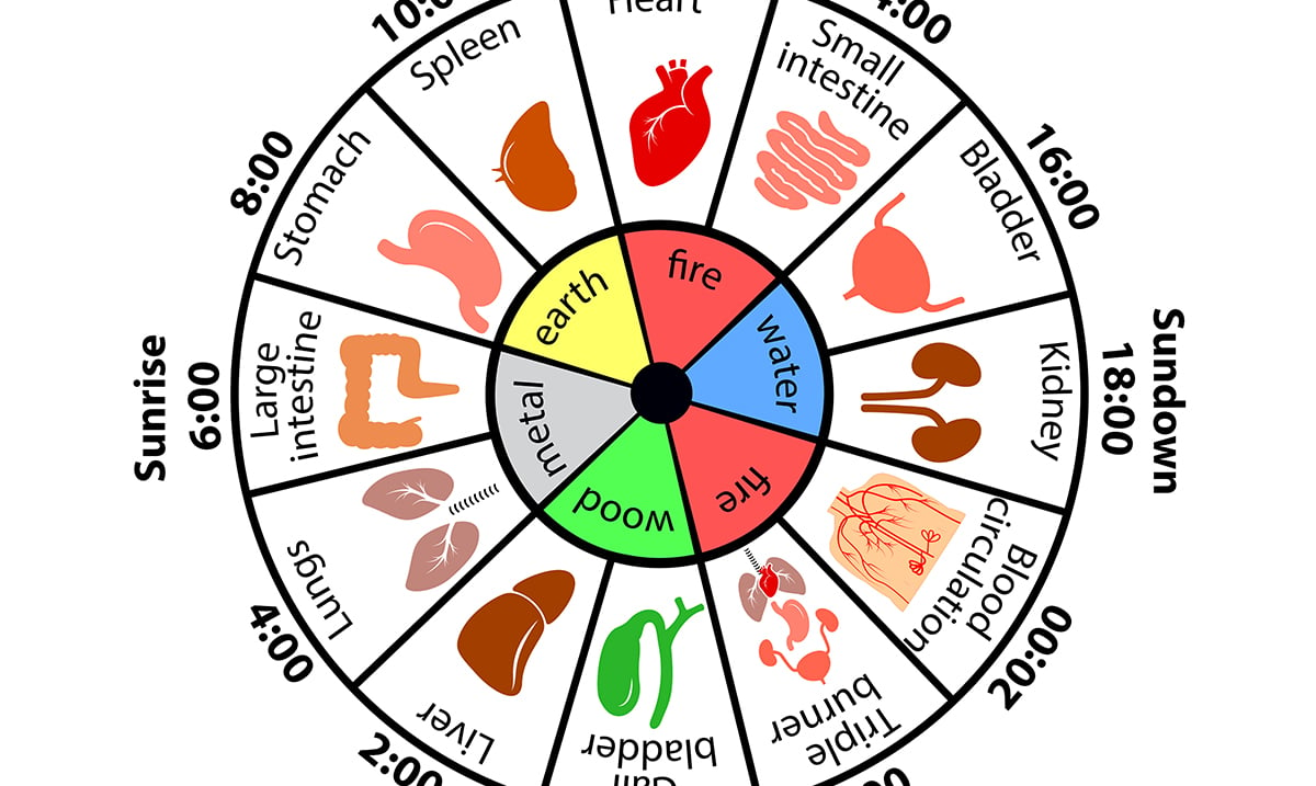 The ‘Chinese Body Clock’ Explains Why We Are Waking Up At the Same Time