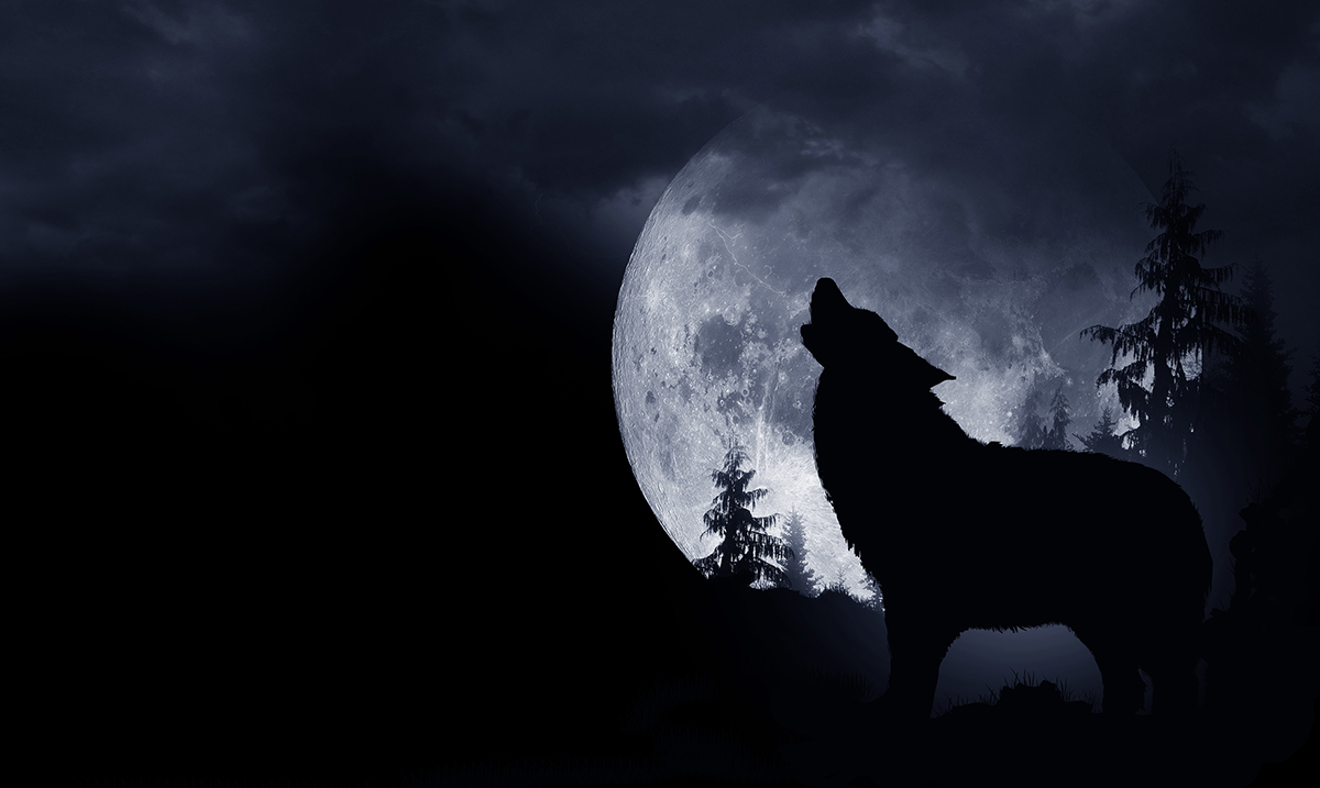 The First Supermoon of the Year, the Wolf Supermoon Will Appear on January 1st