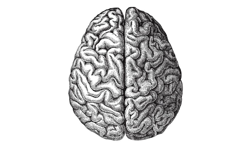 12 key differences between book smarts and genuine intelligence