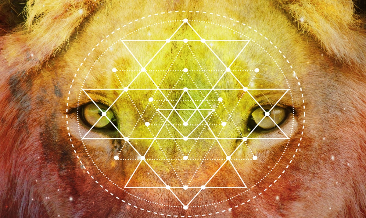 lions gate portal vedic astrology
