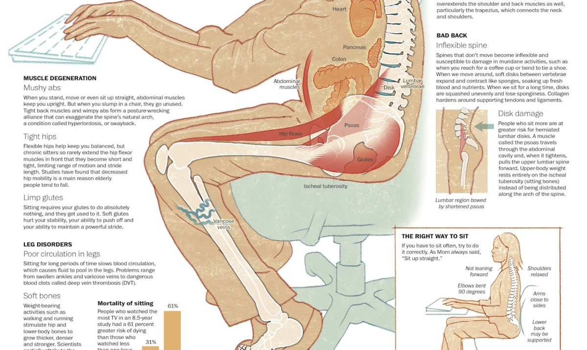 What Sitting Too Long Actually Does To Your Body