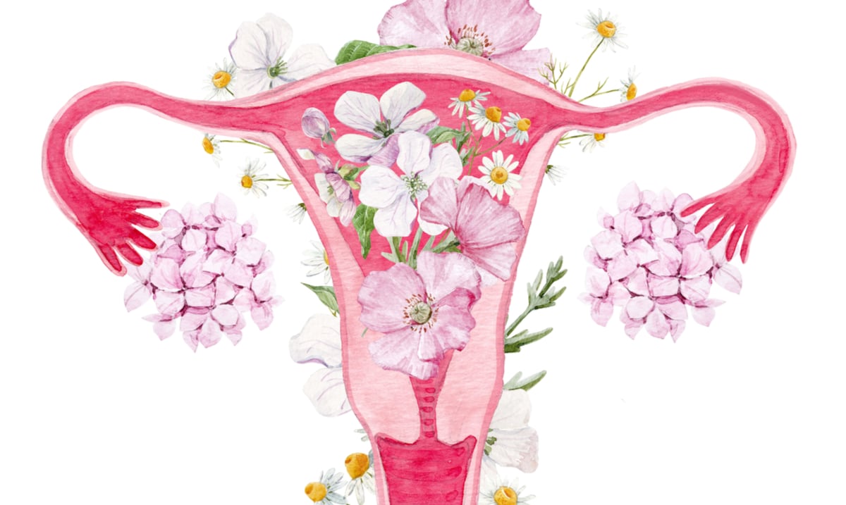 As it Turns Out, Your Uterus Affects How Your Brain Works
