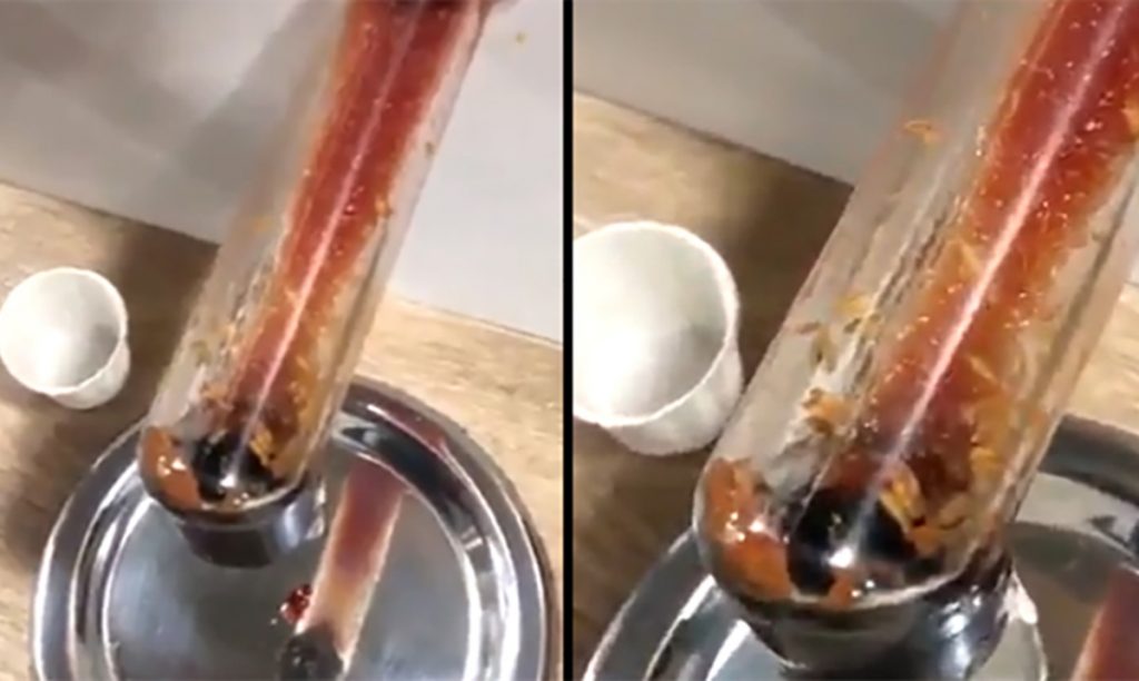 Video Reveals Live Maggots Inside A McDonald’s Ketchup Dispenser