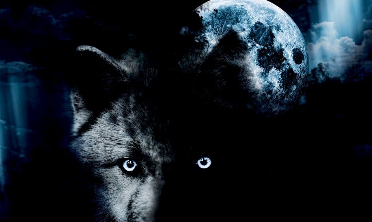 The Upcoming Full Wolf Moon on January 21st is Going to Really Shake Up Your Private Life