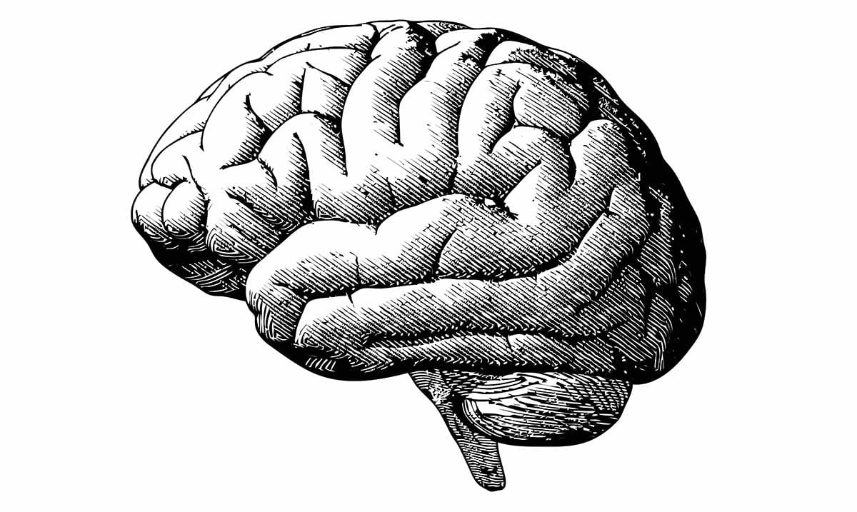 12 Astonishing Facts About The Human Brain That You Won’t Find In Any Textbook