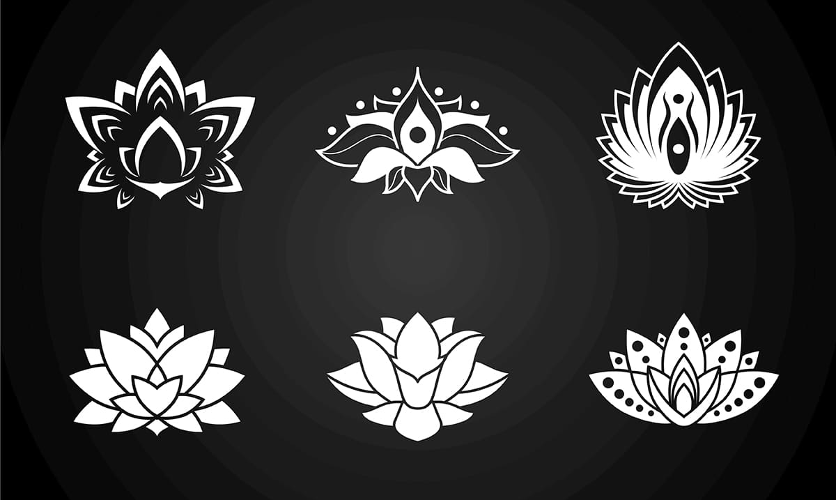 Choose A Lotus To Get Advice About Your Current Situation