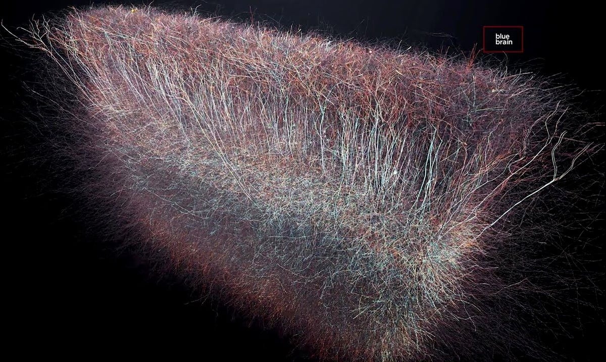 Scientists Have Discovered A Multidimensional Universe Inside The Brain