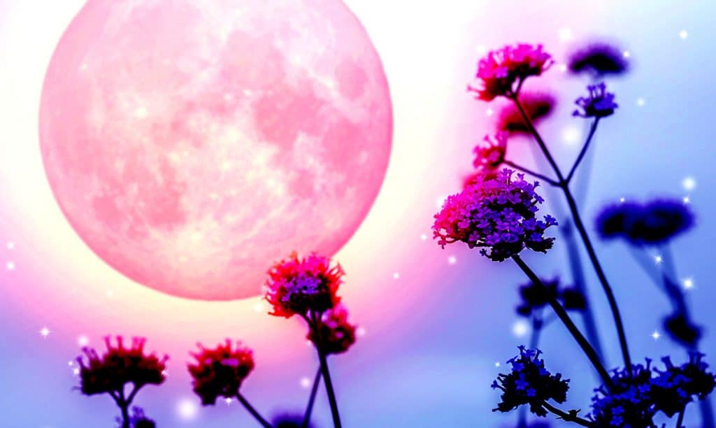 Full Flower Moon May 18th: Let Go Of Your Fears And Move On – Awareness Act