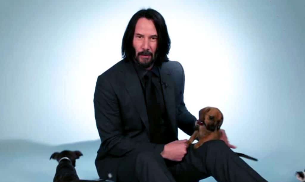 This Video of Keanu Reeves Playing With Puppies Is Our New Obsession – Awareness Act