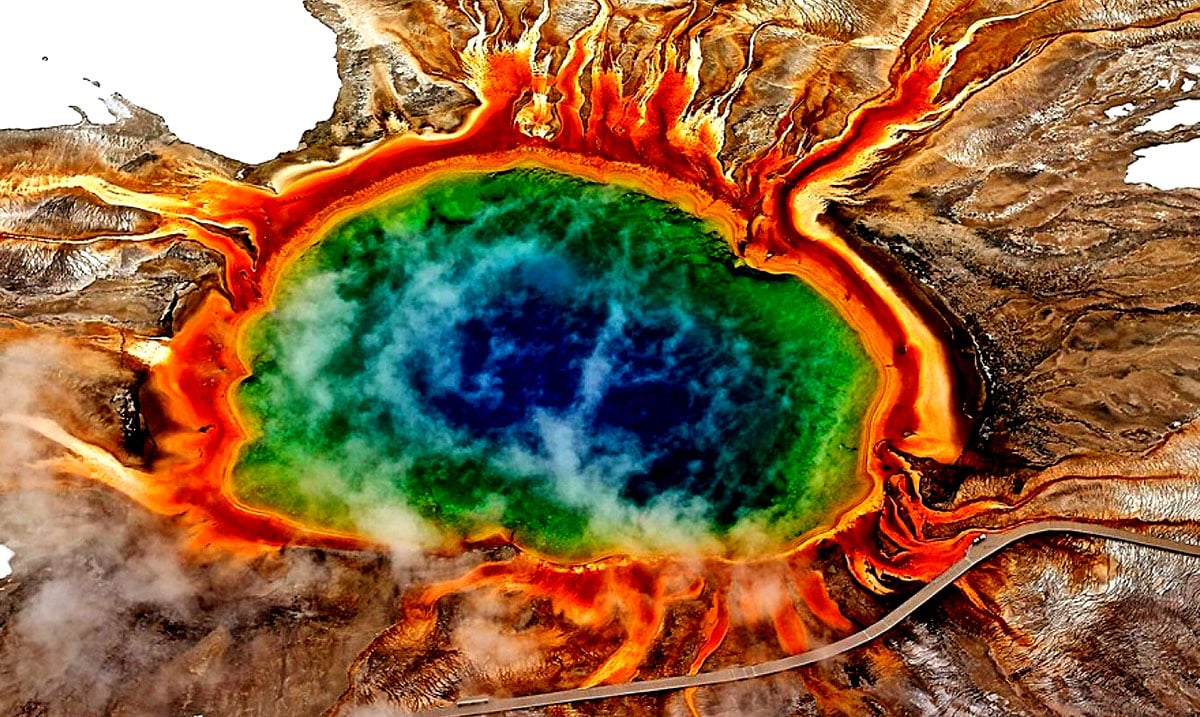 Thousands Of Animals Are Leaving the Yellowstone Supervolcano