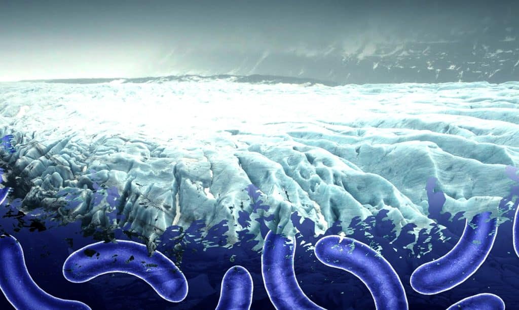 The Permafrost Is Melting Ancient Life Forms Are Starting To Wake Up 