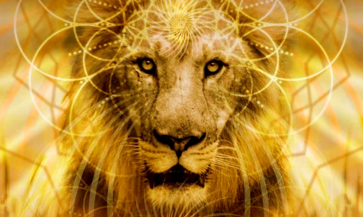 8/8 Lion’s Gate Portal Is Now Open: The Veil Between The Spiritual & Physical Realms Is Thinning