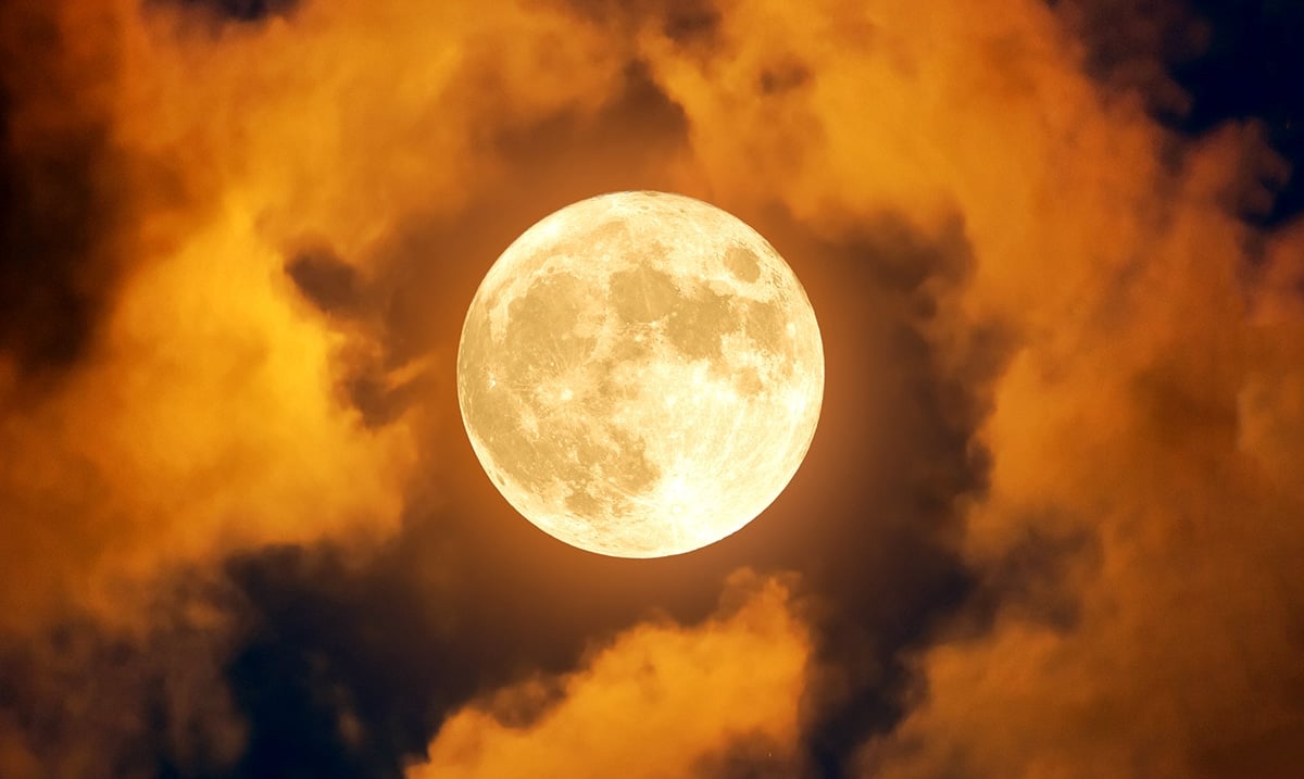 How The Friday The 13th Full Harvest Moon In Pisces Will Affect You Based On Your Zodiac Sign