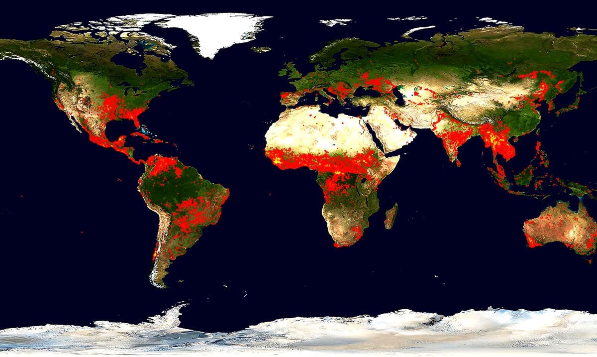 Shocking Video Shows Just How Much Of Our Planet Was Burning During 2019