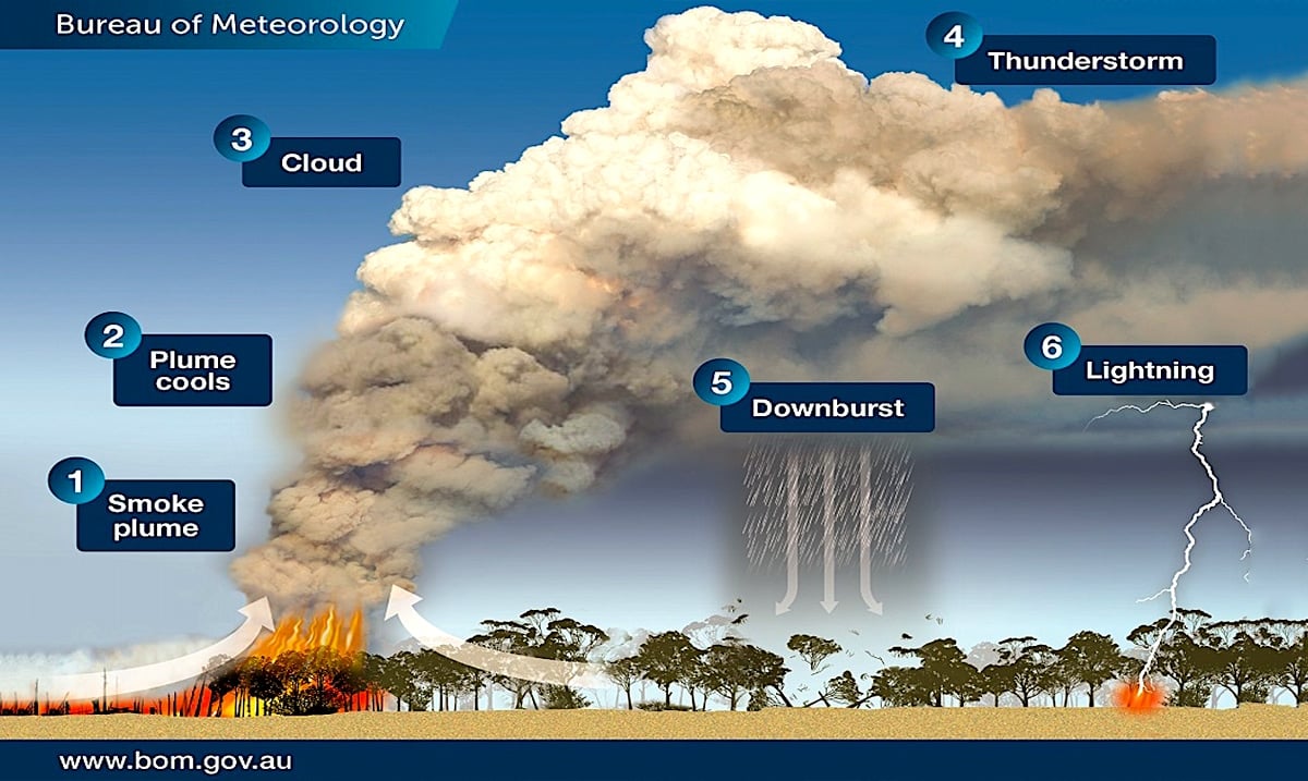 Bushfires In Australia Are Causing Pyrocumulonimbus Thunderstorms That Can Cause More Fires
