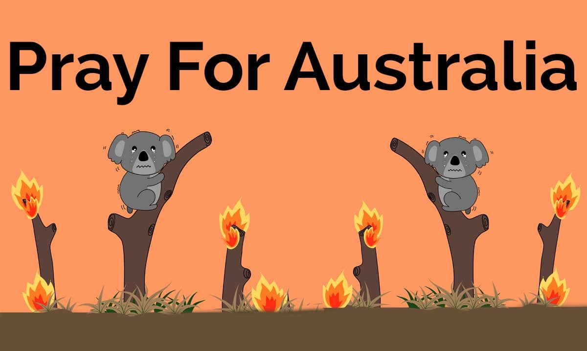 Australian Bushfires Are Estimated To Have Have killed Around 500 Million Animals So Far