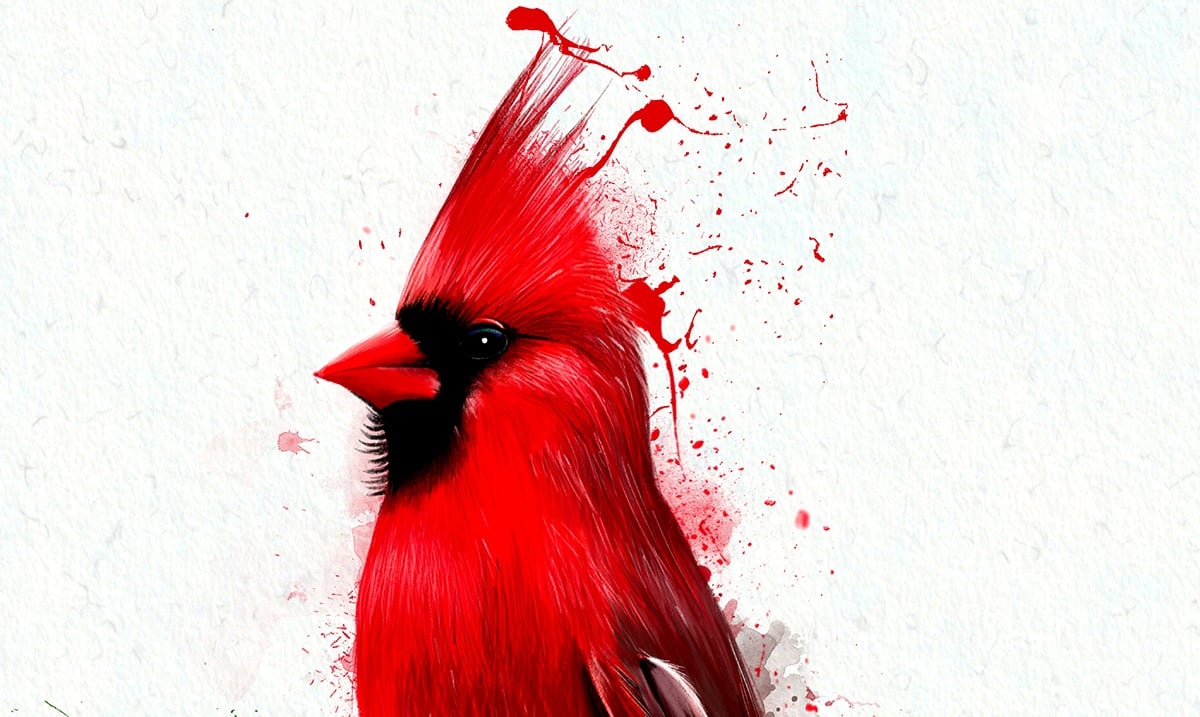 When Cardinals Appear, A Lost Loved One Is Near