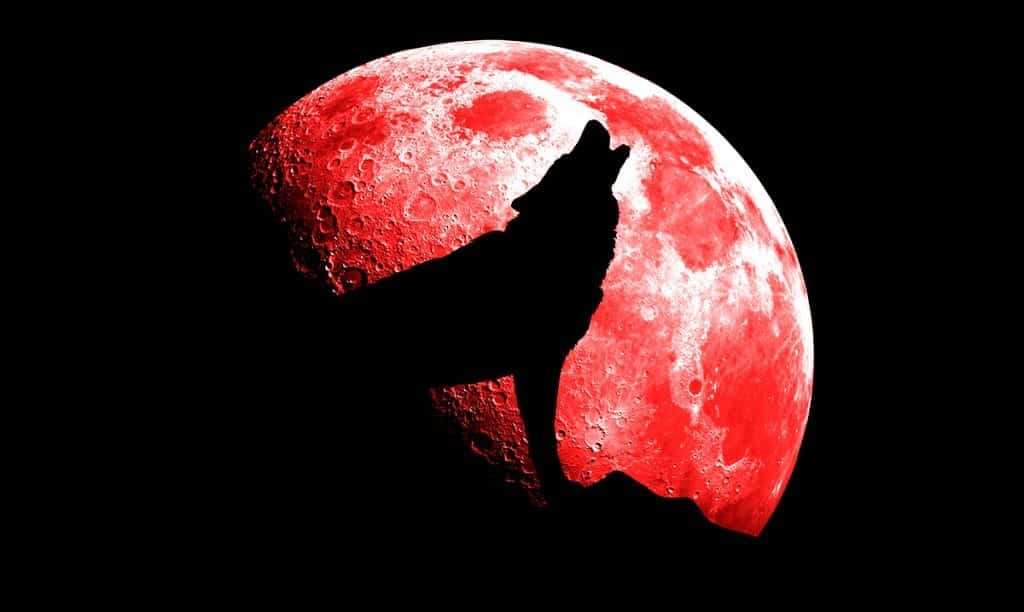 Get Ready For A Powerful Shift As ‘Wolf Moon Eclipse’ Kicks Off ‘Year ...