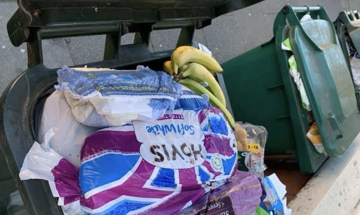 Photos Shared Of Garbage Bins Full Of Fresh Food After Panic Buying
