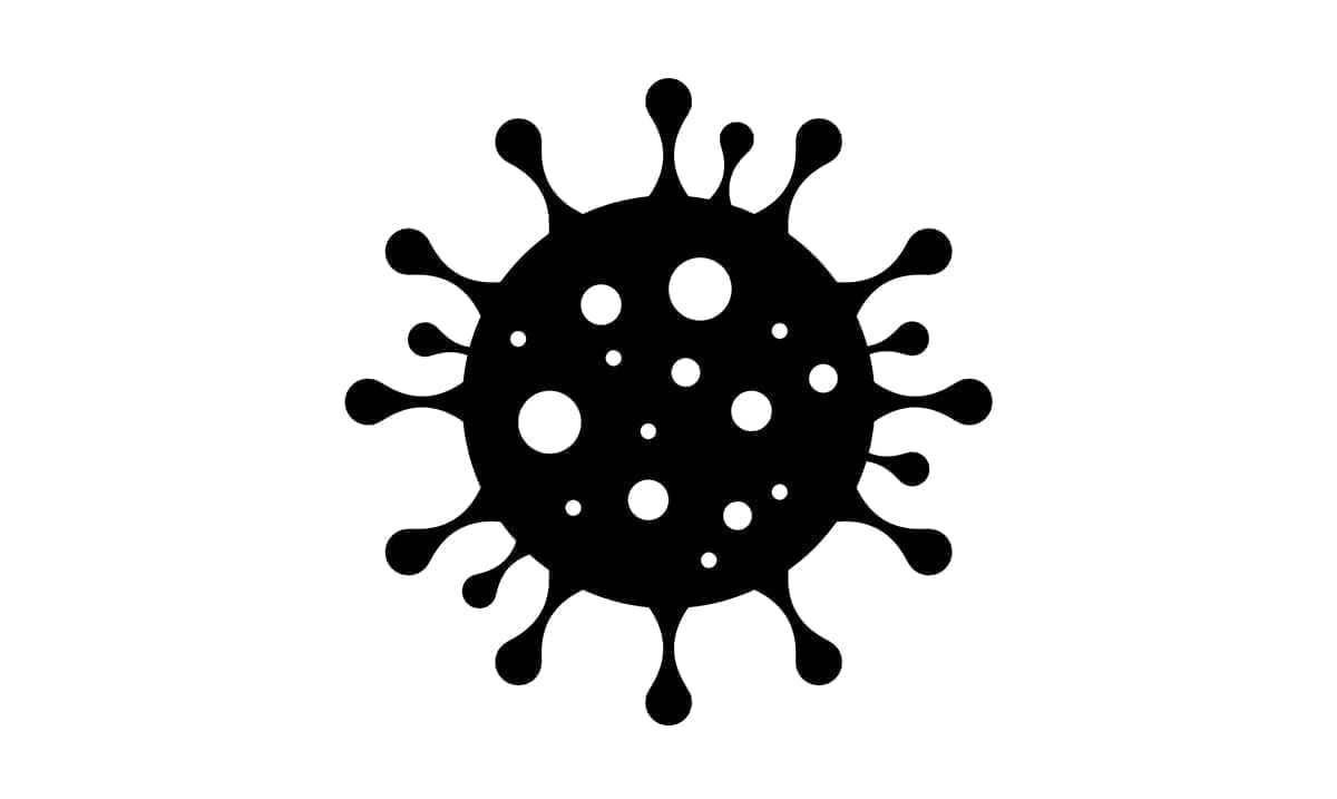 Study Shines Light On ‘Giant Viruses’
