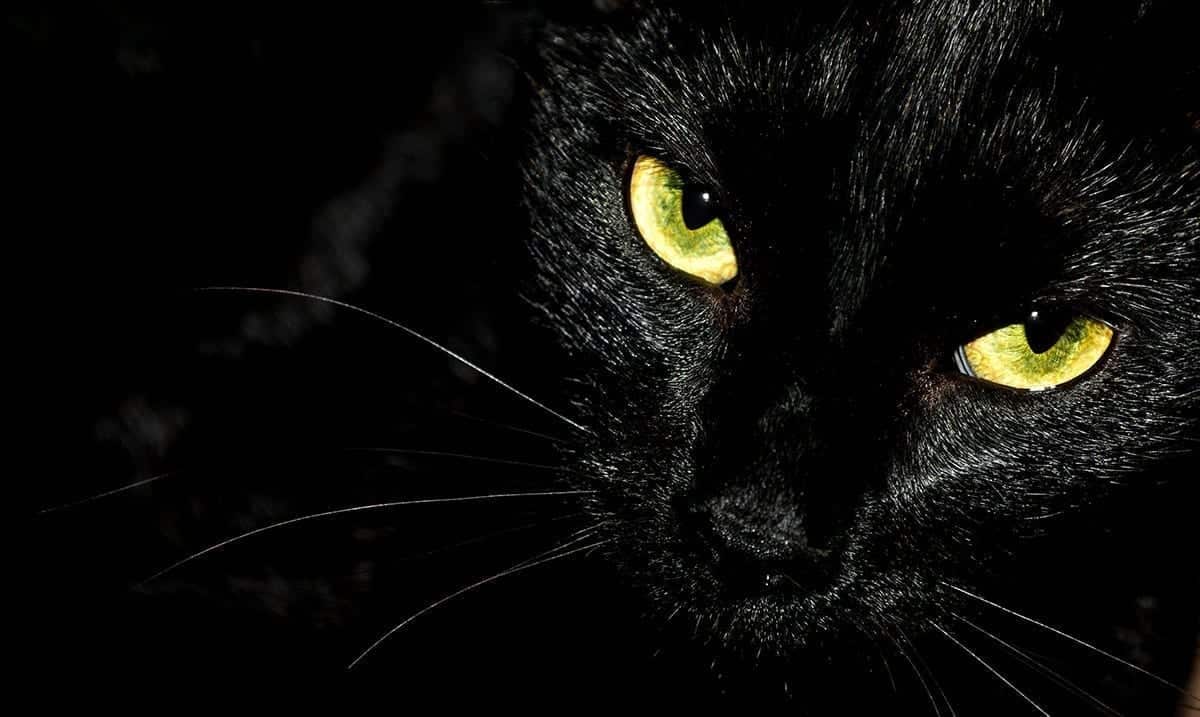 6 Pieces Of Magical Information That Are Way More Than Superstition