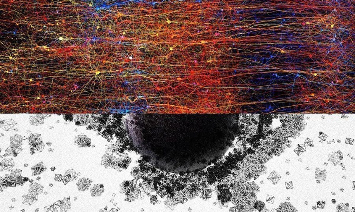 Research Finds 11 Multidimensional Universe Inside The Human Brain