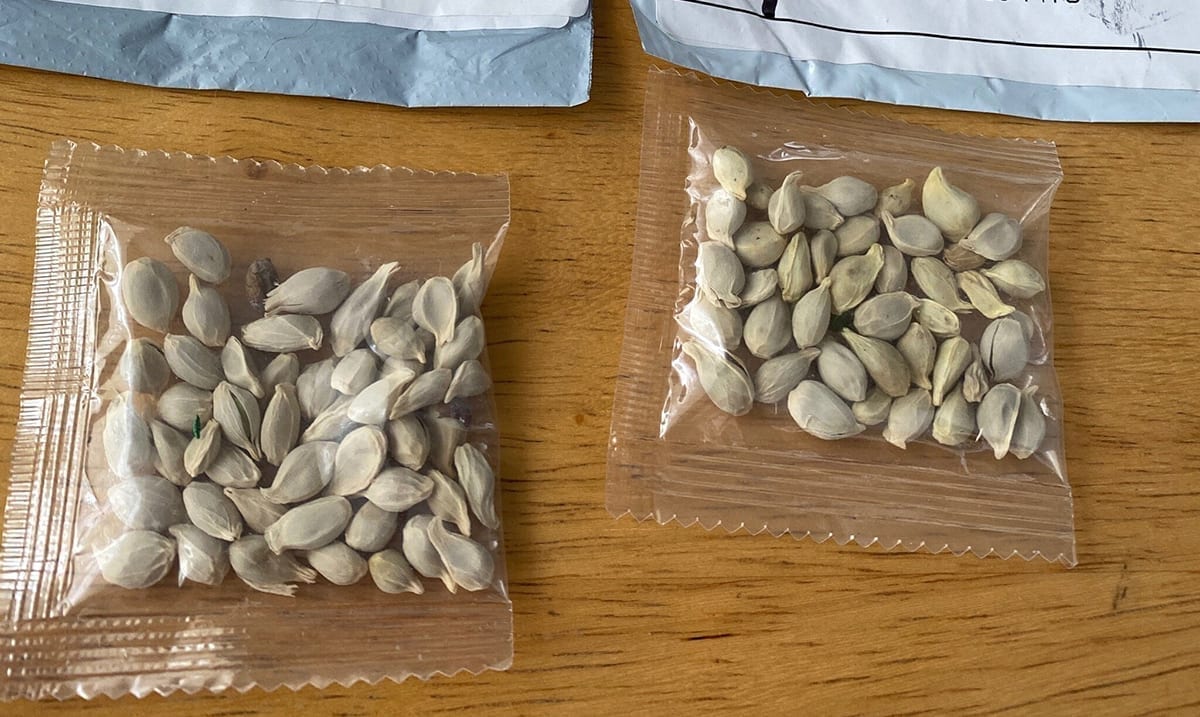 People All Across The US Are Receiving Unexpected Packages Of Seeds From China