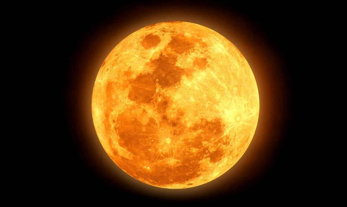 Expect The Unexpected As The August Full Moon Comes Forth Awareness Act