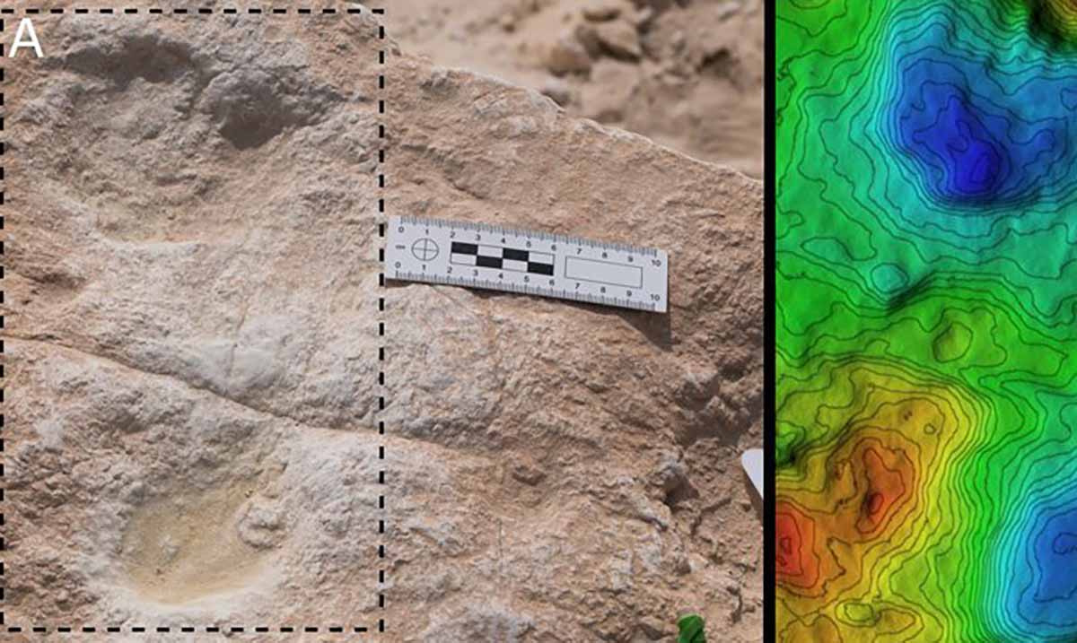 120,000-Year-Old Footprints Found In Saudi Arabia