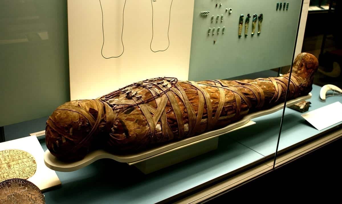 Egyptian Authorities Uncover 13 Sealed Coffins From Over 2000 Years Ago