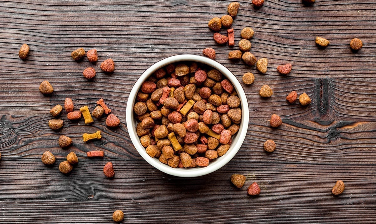 More Dog Food Brands Added To Recall – Be Aware Of Aflatoxin Poisioning
