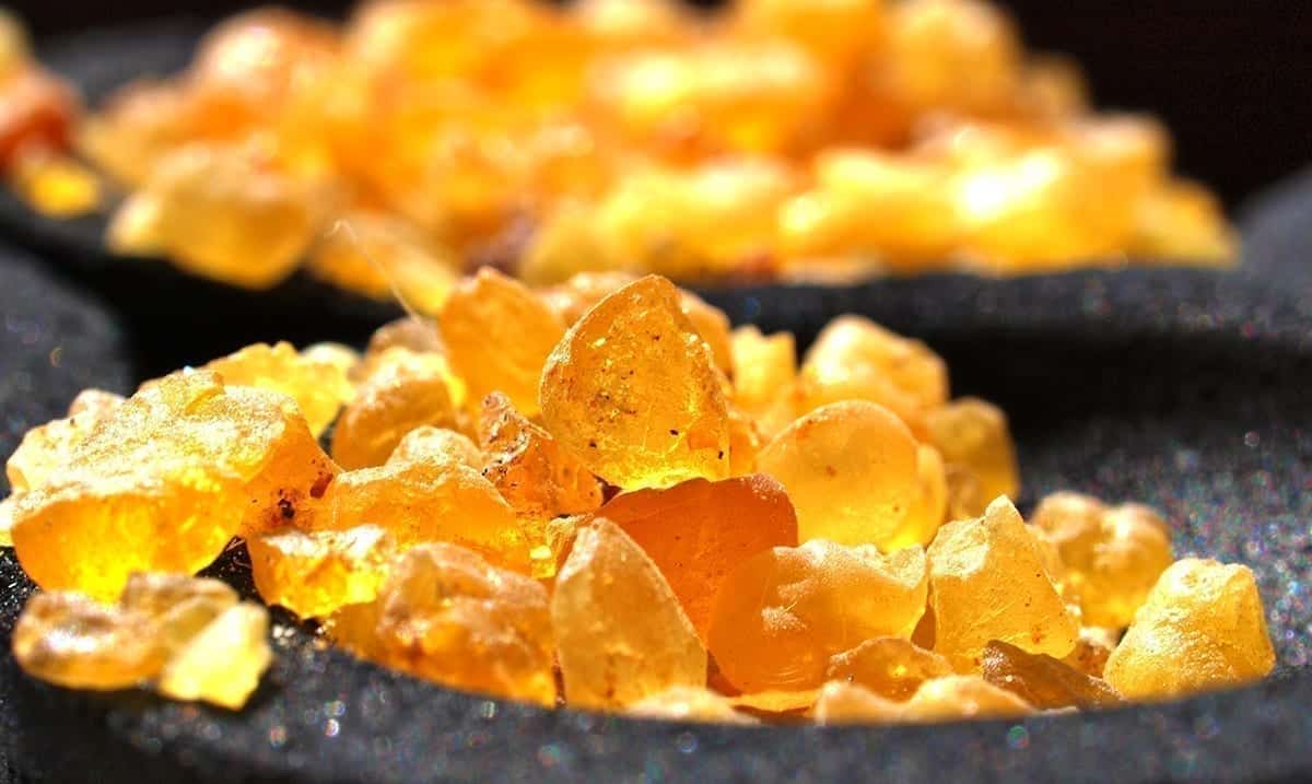 Frankincense A Powerful Tool Used To Drive Off Evil Energies Could Also Work As An Antidepressant