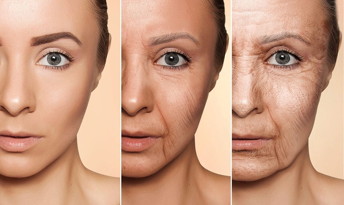 Researchers Claim They Finally Managed To Partially Reverse The Aging Process