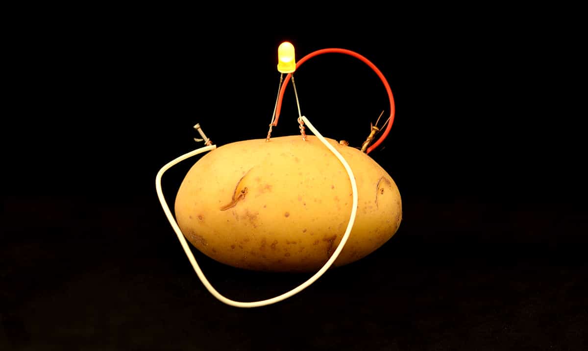 Boiled Potatoes Can Supply Enough Power To Light A Room For Over A Month