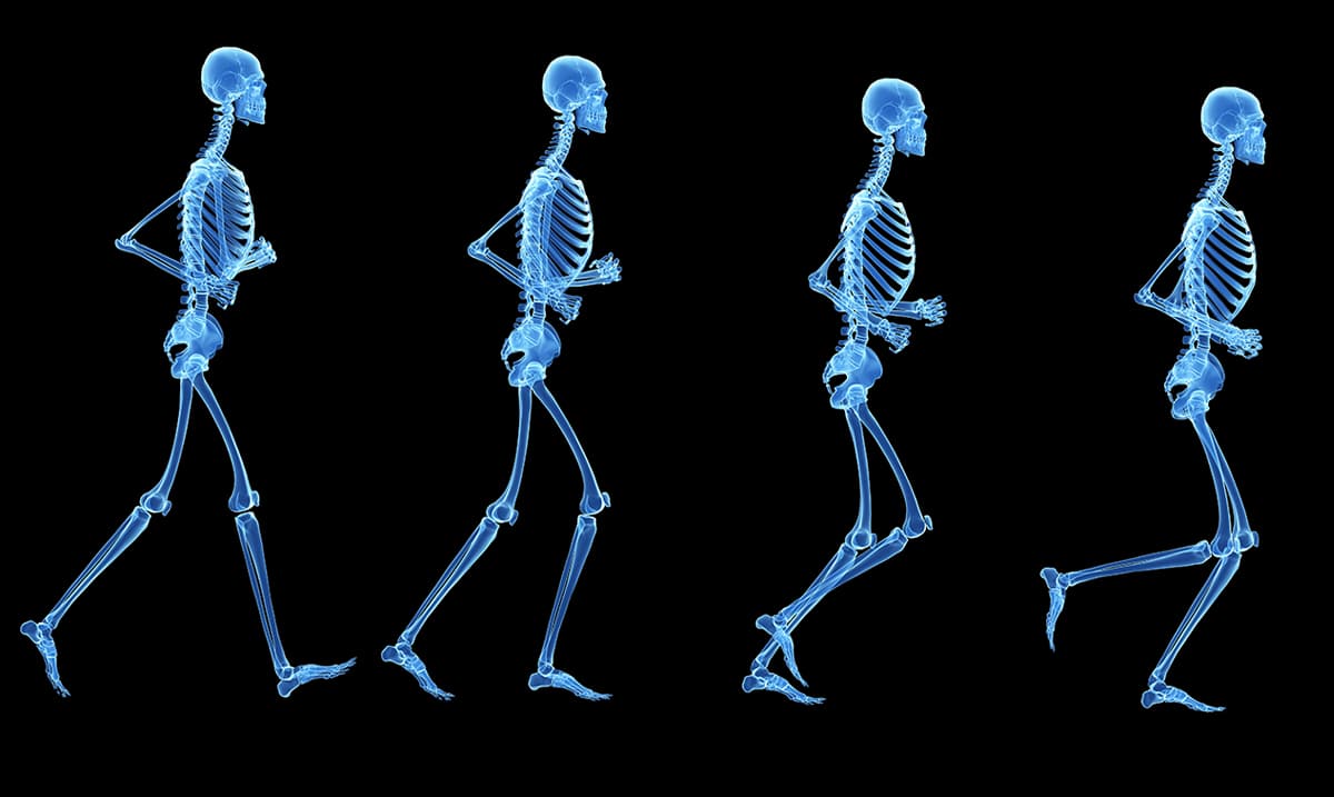 What Actually Happens To Your Body When You Walk Everyday