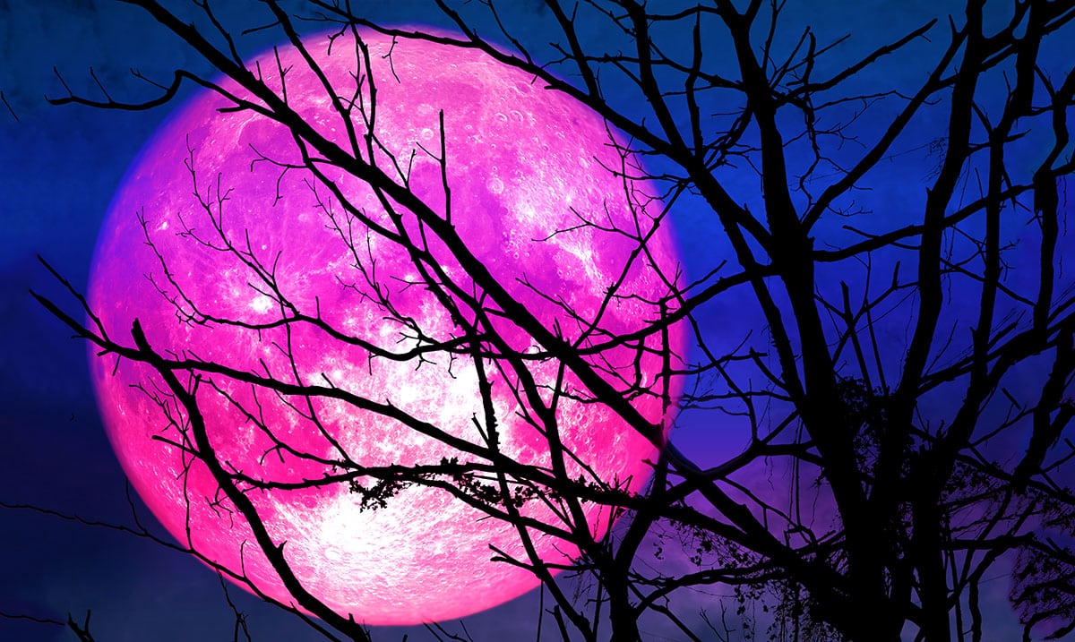 The 4 Zodiac Signs That Will Be Most Affected By The Coming Super Pink Moon