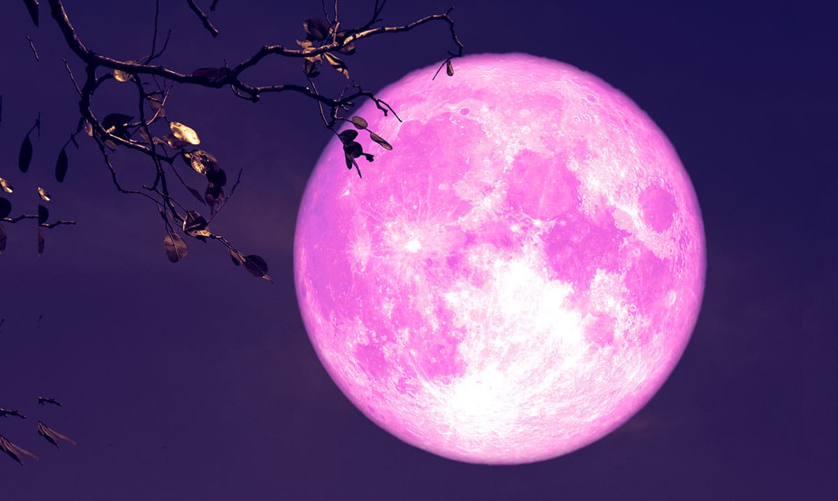 5 Things You Need To Know To Get Through The Super Pink Moon