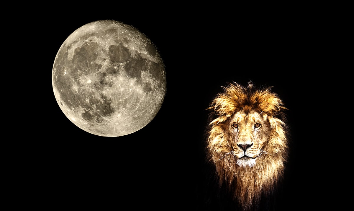 New Moon In Leo Heralds In The Opening Of The Legendary Lionsgate Portal – Prepare Yourselves!