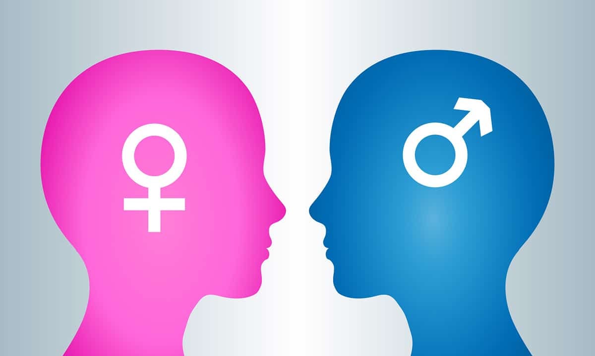 14 Interesting Differences Between The Male And Female Brains