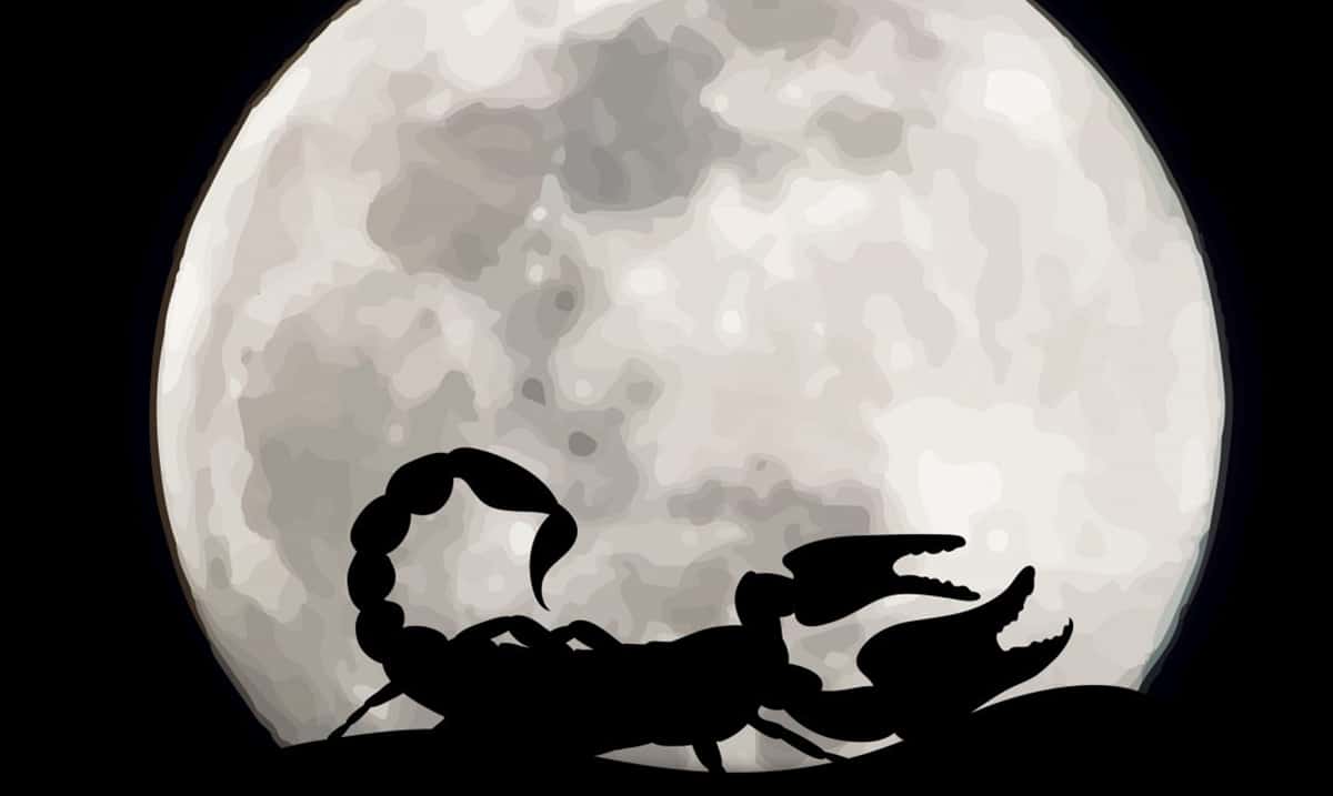 Prepare Yourselves – The Coming New Moon Is Scorpio Is Going To Get Invasive, Get Ready!