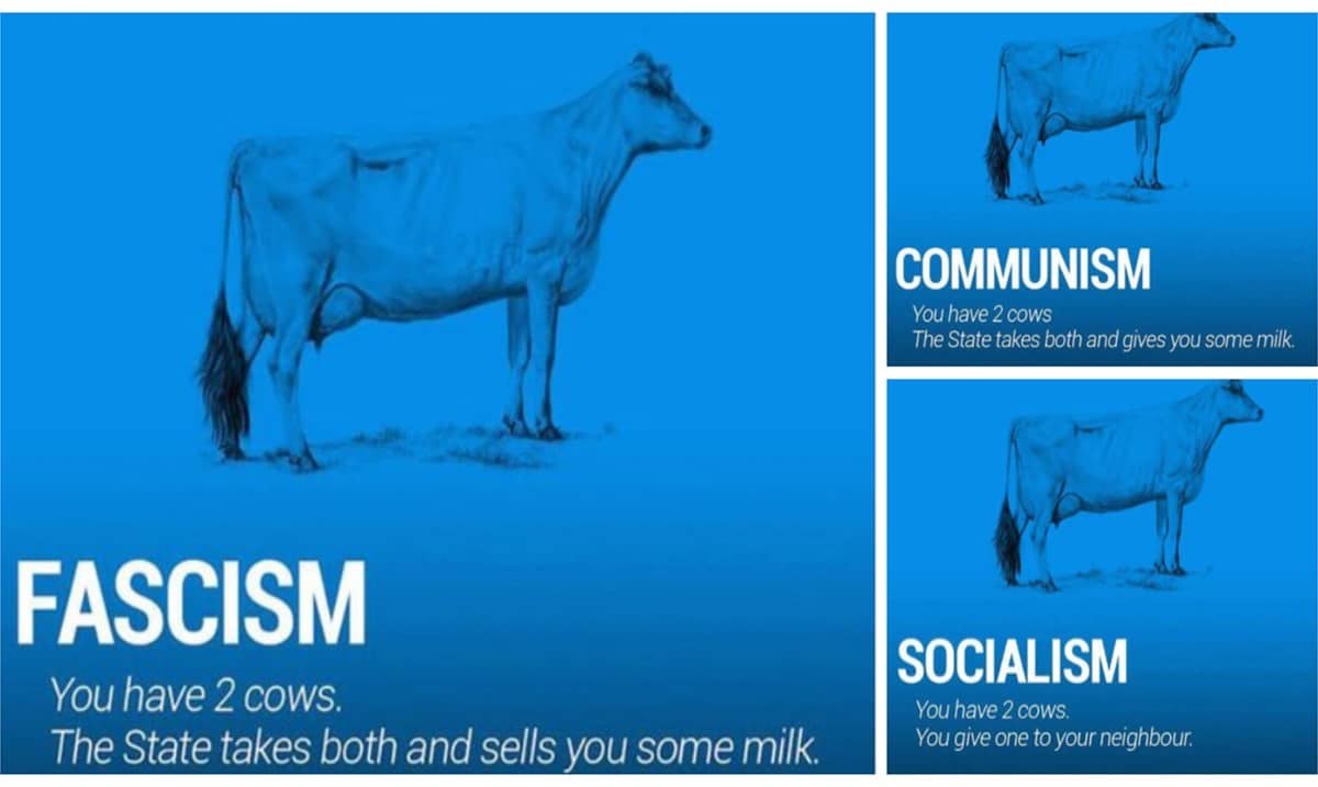 Two Cows Explain Economics Better Than Any College Professor
