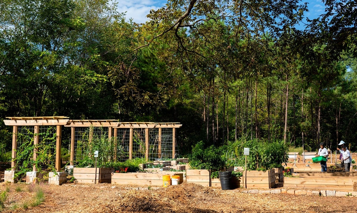 Atlanta Creates Food Forest In Georgia, Largest In U.S.