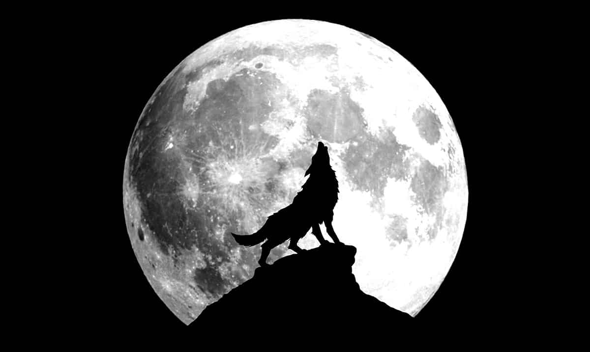 When To See The First Full Moon Of The Year – The Full Wolf Moon