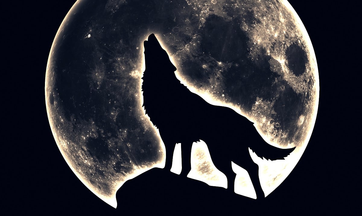 How the Coming Full “Wolf” Moon Will Affect You Based On Your Zodiac Sign