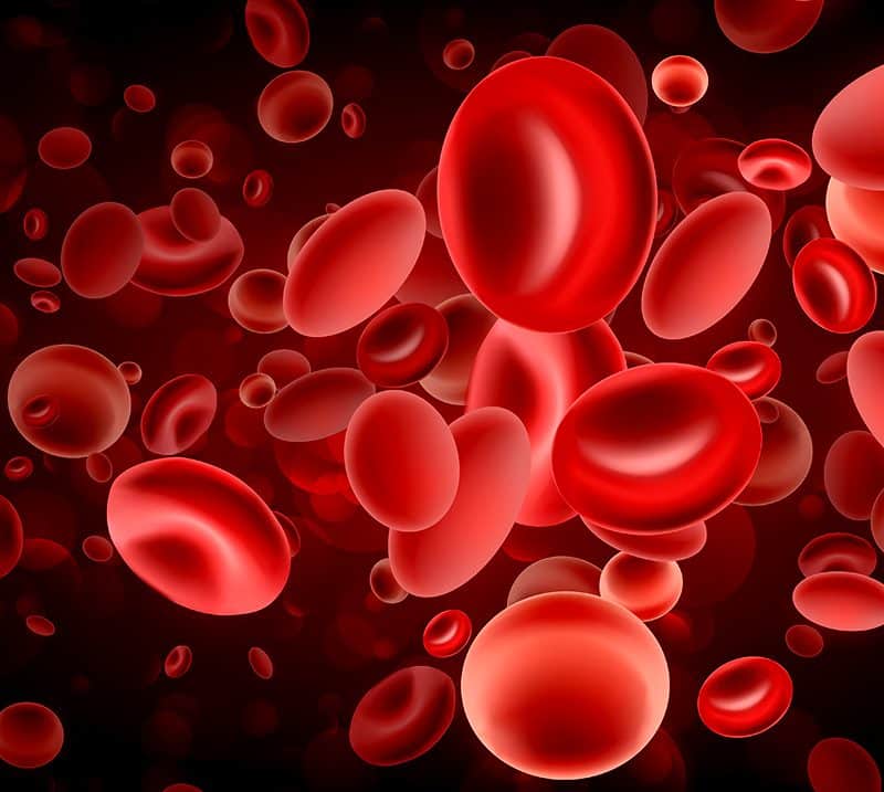 canadian-scientists-discover-how-to-change-type-a-and-type-b-blood-to